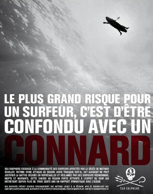 L’affiche de Sea Shepherd supprimée de la page Surf Prévention par Facebook